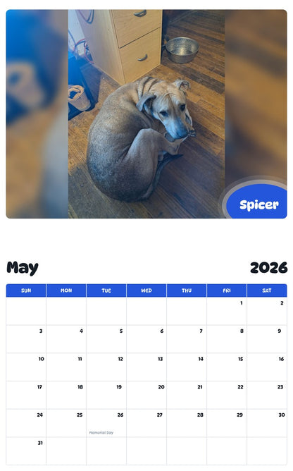 2026 - 2027 Spicer - Pawidols Pet Calendar
