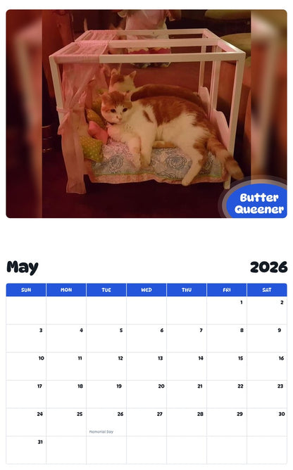 2026 - 2027 Butter Queener - Pawidols Pet Calendar