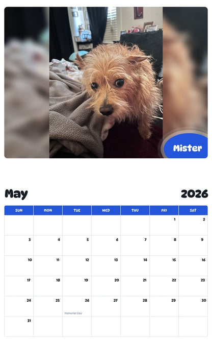 2026 - 2027 Mister - Pawidols Pet Calendar