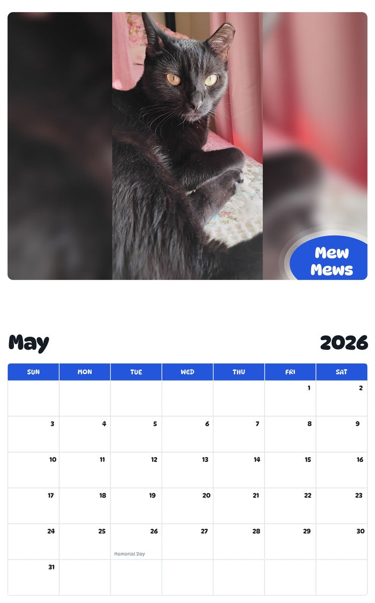 2026 - 2027 Mew Mews - Pawidols Pet Calendar