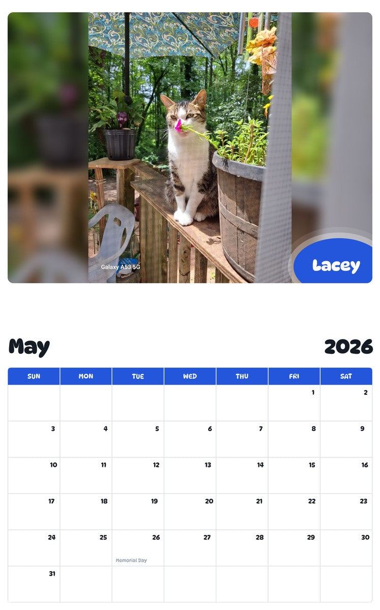 2026 - 2027 Lacey - Pawidols Pet Calendar