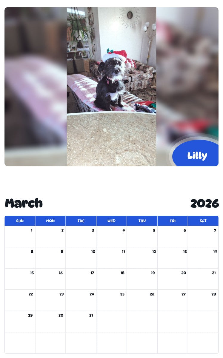 November 2025 - October 2026 Lilly - Pawidols Pet Calendar
