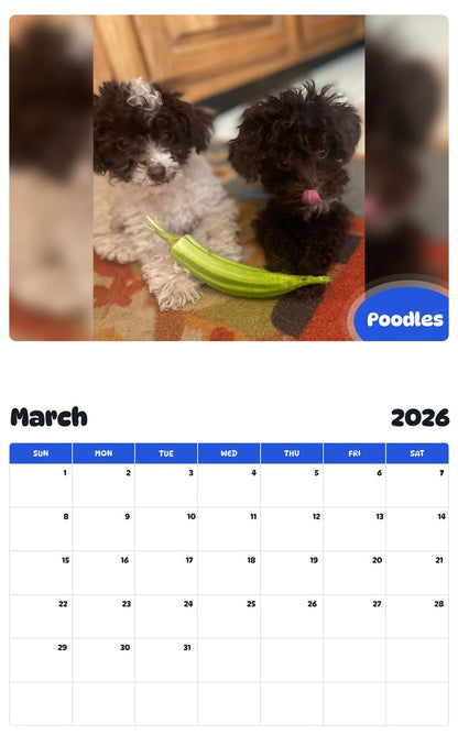 November 2025 - October 2026 Poodles - Pawidols Pet Calendar