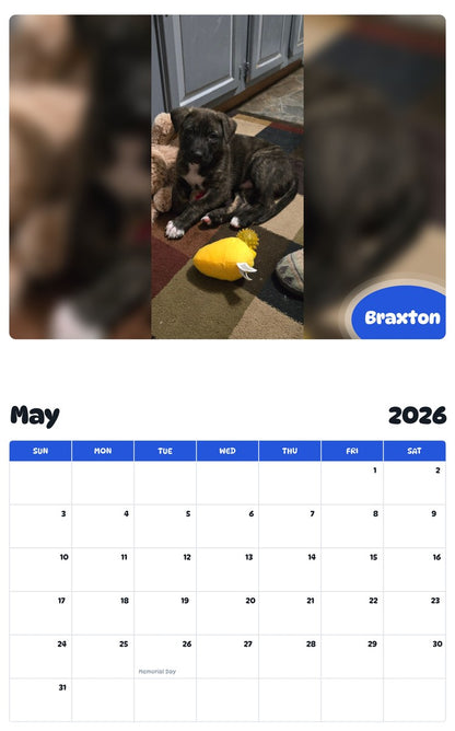 2026 - 2027 Braxton - Pawidols Pet Calendar