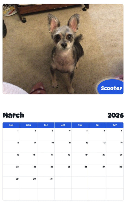 November 2025 - October 2026 Scooter - Pawidols Pet Calendar