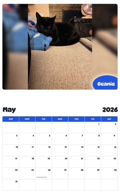 2026 - 2027 Beanie - Pawidols Pet Calendar