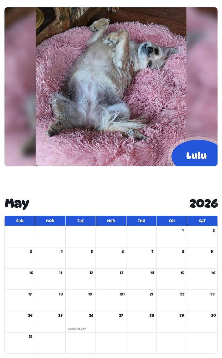 2026 - 2027 Lulu - Pawidols Pet Calendar