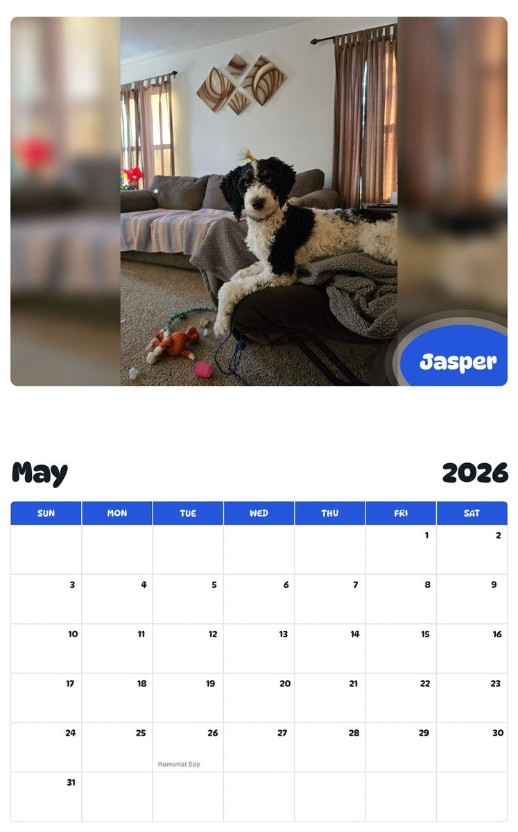 2026 - 2027 Jasper - Pawidols Pet Calendar