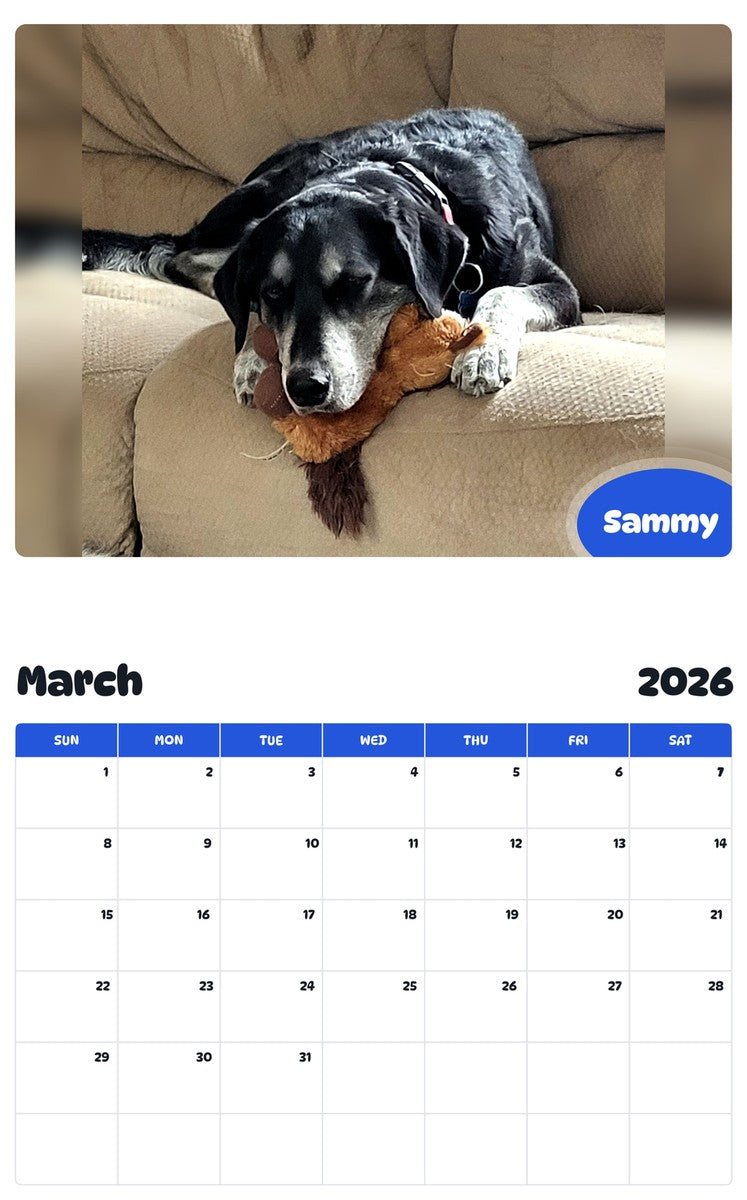 November 2025 - October 2026 Sammy - Pawidols Pet Calendar