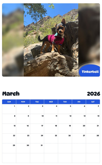 November 2025 - October 2026 Tinkerbell - Pawidols Pet Calendar