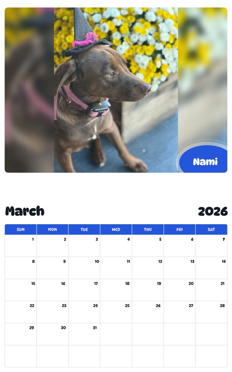 November 2025 - October 2026 Nami - Pawidols Pet Calendar