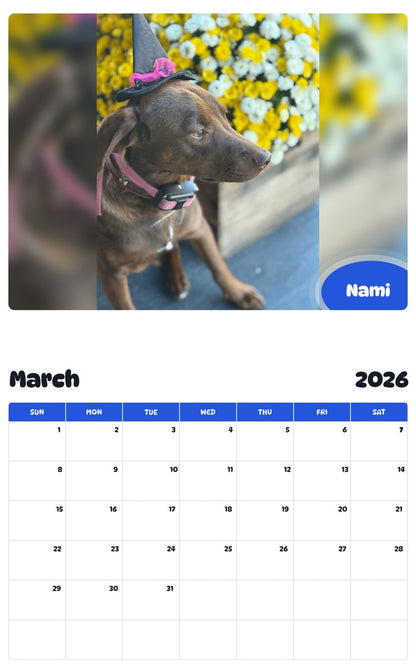 November 2025 - October 2026 Nami - Pawidols Pet Calendar