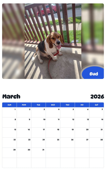 November 2025 - October 2026 Bud - Pawidols Pet Calendar