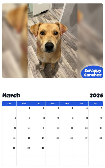 November 2025 - October 2026 Scrappy Sanchez - Pawidols Pet Calendar