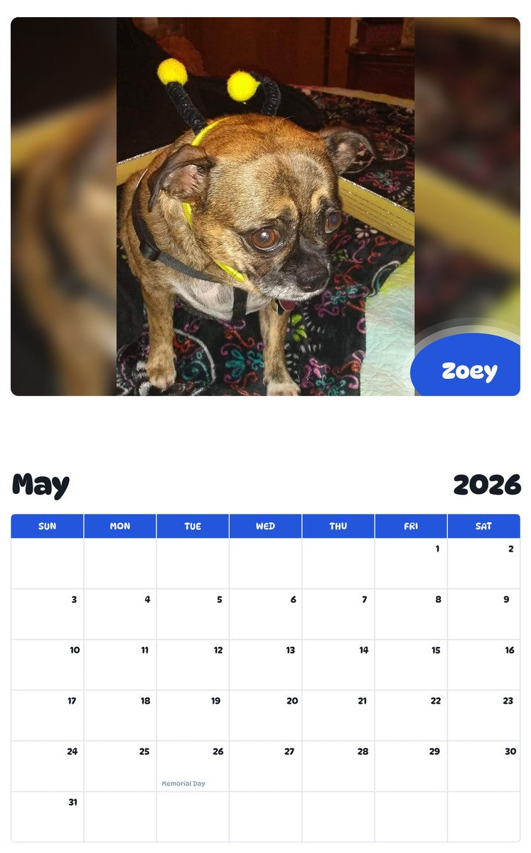 2026 - 2027 Zoey - Pawidols Pet Calendar