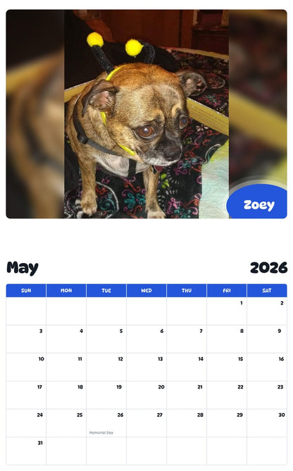 2026 - 2027 Zoey - Pawidols Pet Calendar
