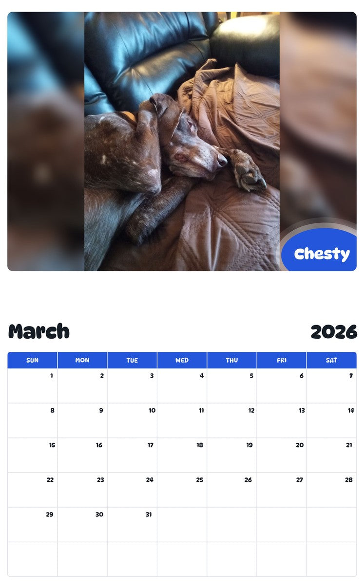 November 2025 - October 2026 Chesty - Pawidols Pet Calendar