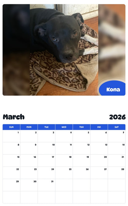 November 2025 - October 2026 Kona - Pawidols Pet Calendar