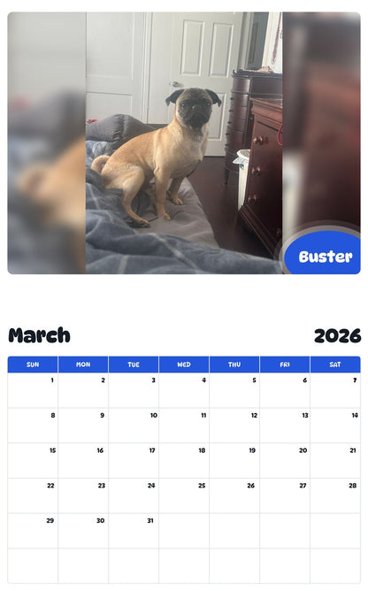 November 2025 - October 2026 Buster - Pawidols Pet Calendar