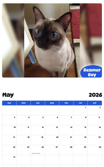 2026 - 2027 Beamer Boy - Pawidols Pet Calendar