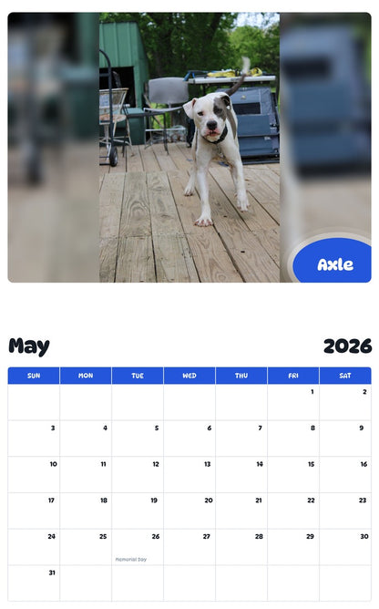 2026 - 2027 Axle - Pawidols Pet Calendar