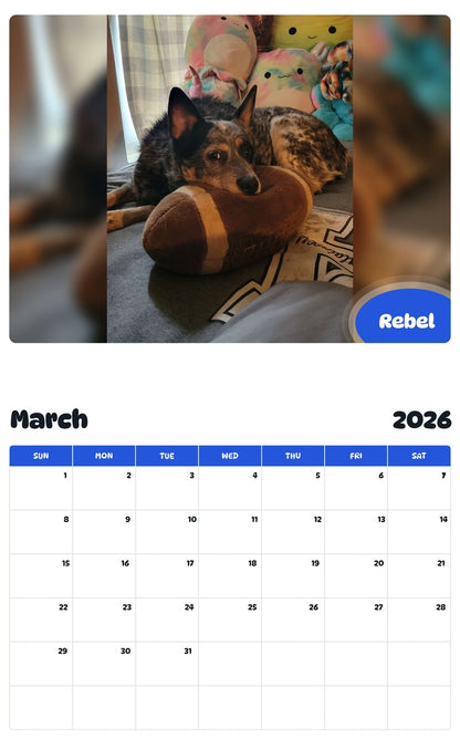 November 2025 - October 2026 Rebel - Pawidols Pet Calendar