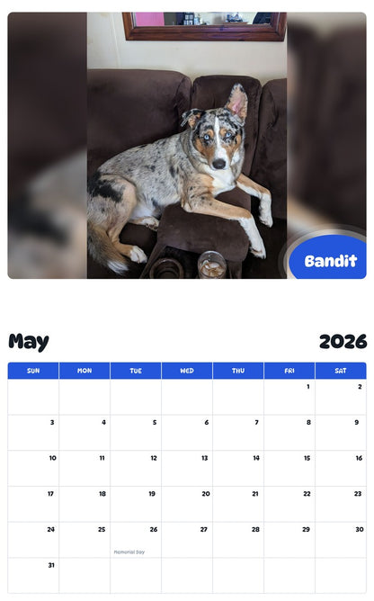 2026 - 2027 Bandit - Pawidols Pet Calendar