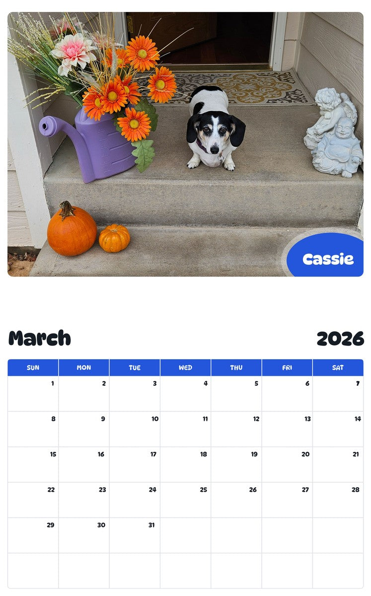 November 2025 - October 2026 Cassie - Pawidols Pet Calendar