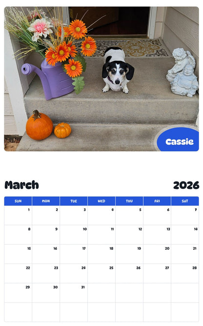 November 2025 - October 2026 Cassie - Pawidols Pet Calendar