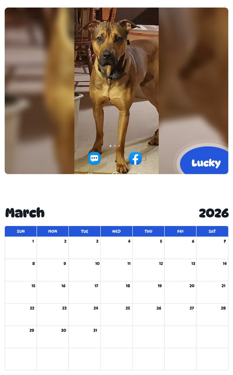 November 2025 - October 2026 Lucky - Pawidols Pet Calendar