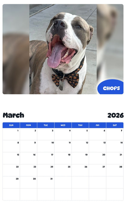 November 2025 - October 2026 CHOPS - Pawidols Pet Calendar