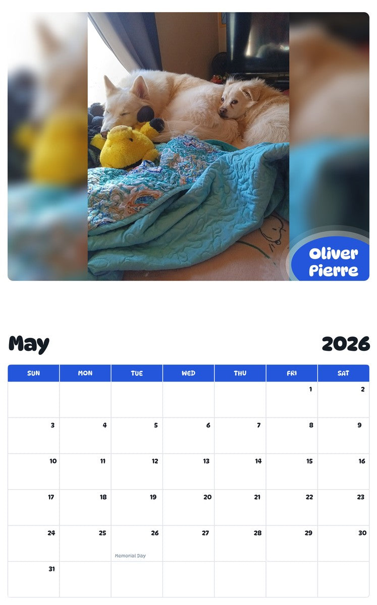 2026 - 2027 Oliver Pierre - Pawidols Pet Calendar