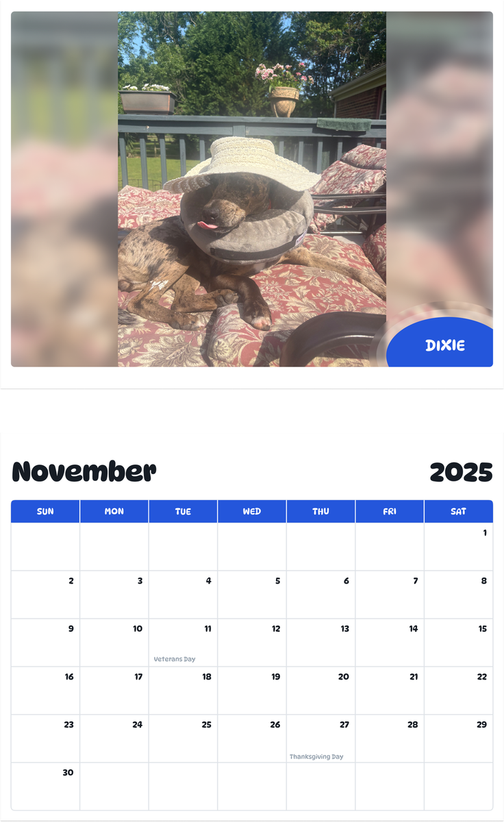 July 2025 - June 2026 Dixie - Pawidols Pet Calendar