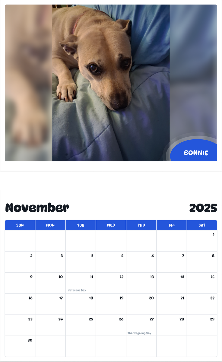 July 2025 - June 2026 Bonnie - Pawidols Pet Calendar