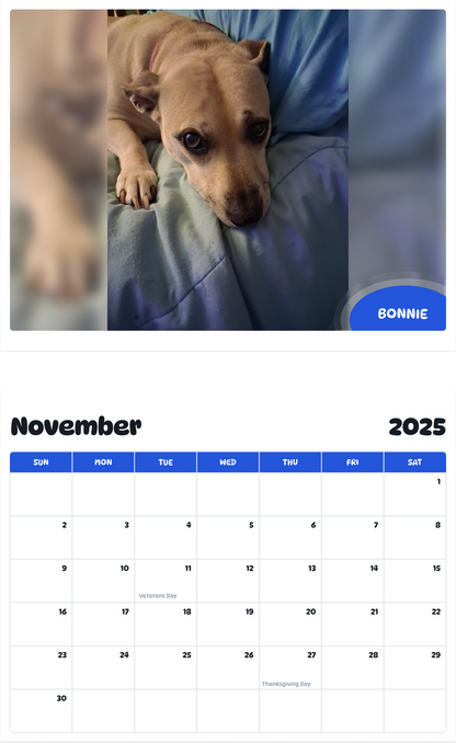 July 2025 - June 2026 Bonnie - Pawidols Pet Calendar