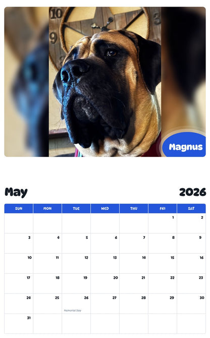 2026 - 2027 Magnus - Pawidols Pet Calendar