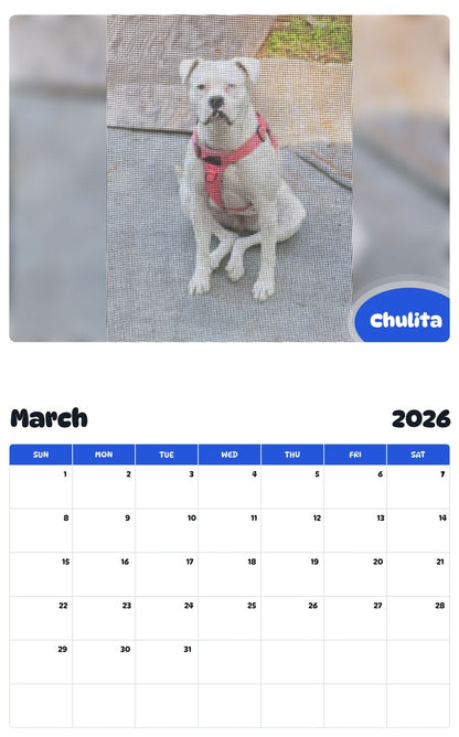 November 2025 - October 2026 Chulita - Pawidols Pet Calendar