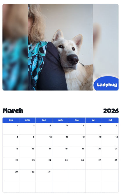 November 2025 - October 2026 Ladybug - Pawidols Pet Calendar