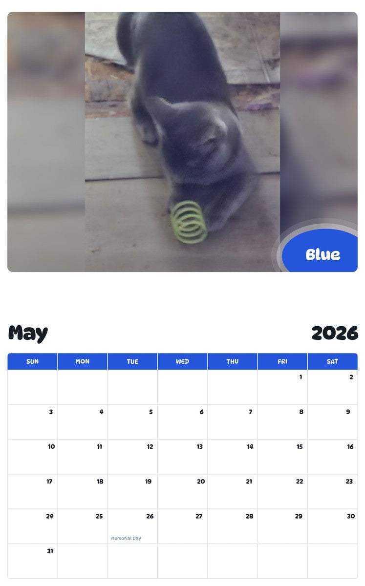 2026 - 2027 Blue - Pawidols Pet Calendar