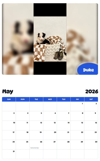 2026 - 2027 Duke - Pawidols Pet Calendar