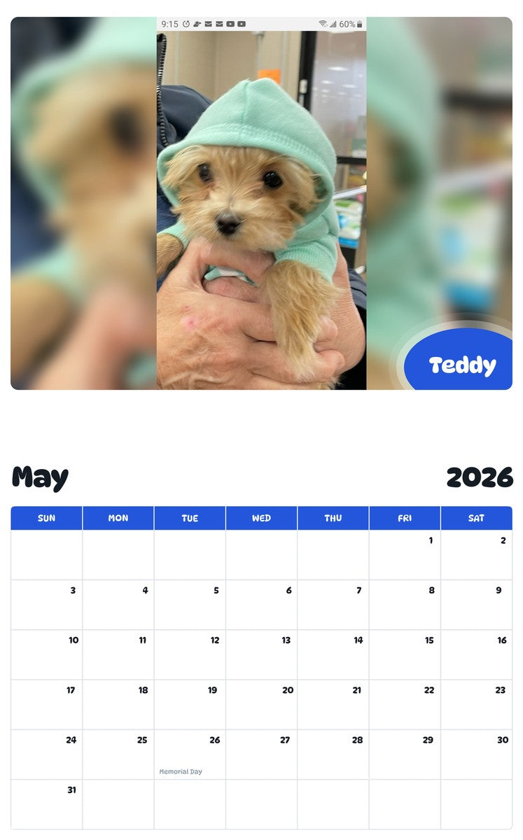 2026 - 2027 Teddy - Pawidols Pet Calendar