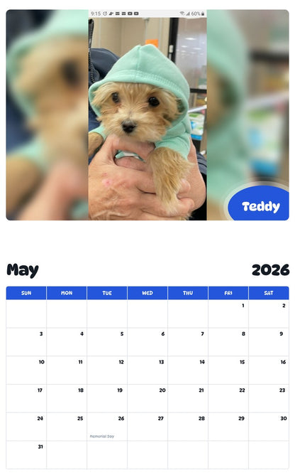 2026 - 2027 Teddy - Pawidols Pet Calendar