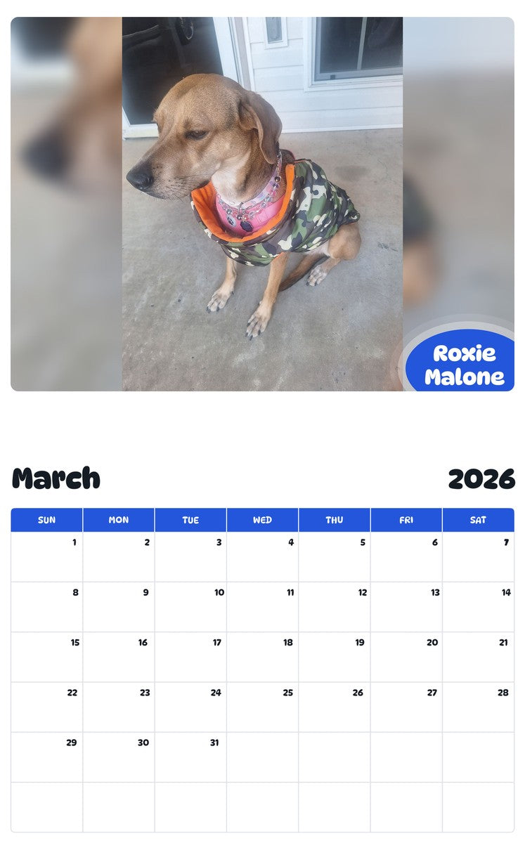 November 2025 - October 2026 Roxie Malone - Pawidols Pet Calendar