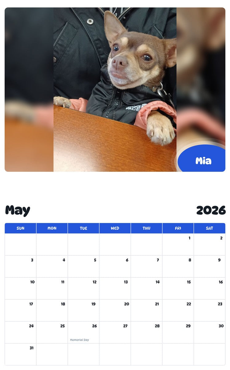 2026 - 2027 Mia - Pawidols Pet Calendar