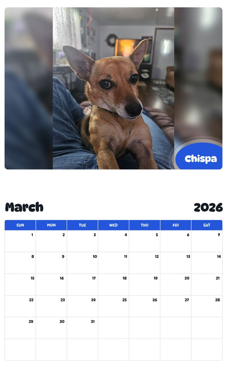 November 2025 - October 2026 Chispa - Pawidols Pet Calendar
