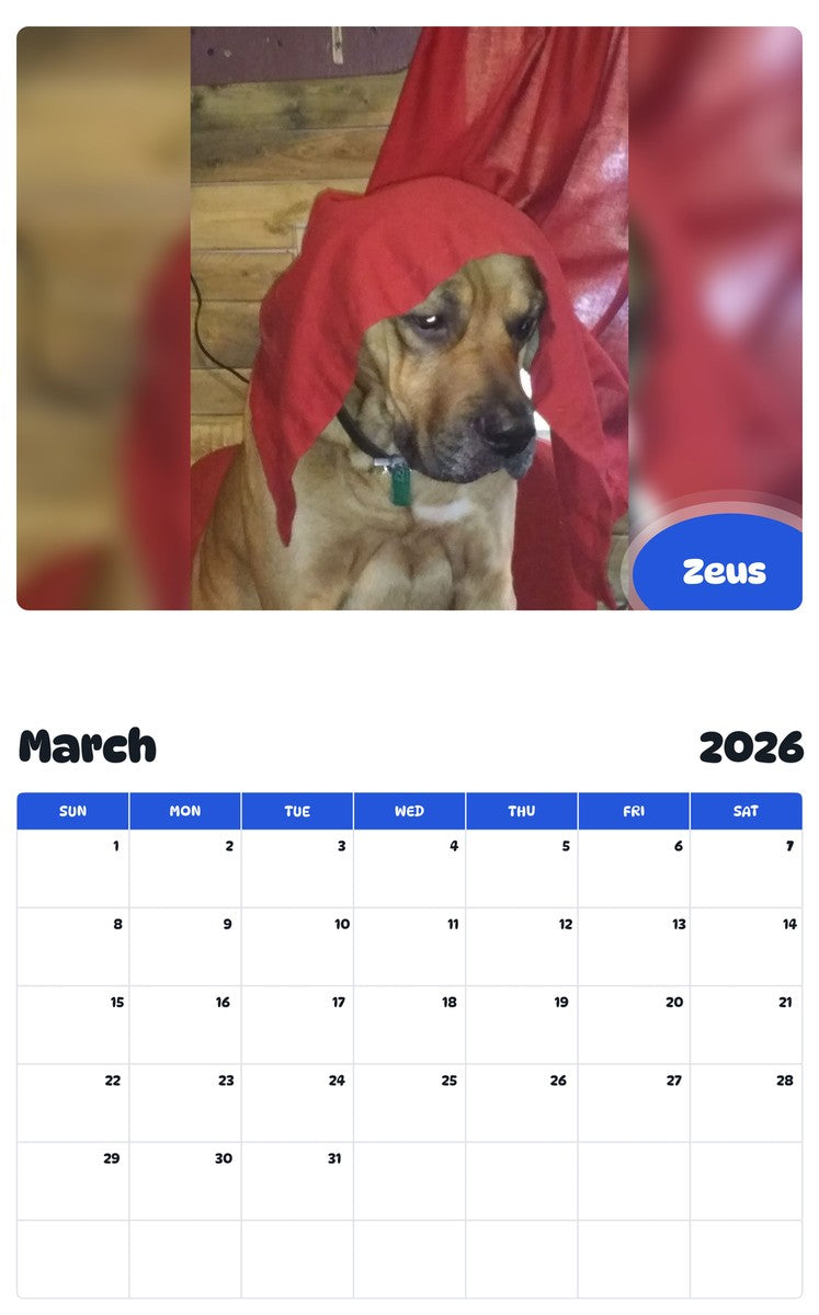 November 2025 - October 2026 Zeus - Pawidols Pet Calendar