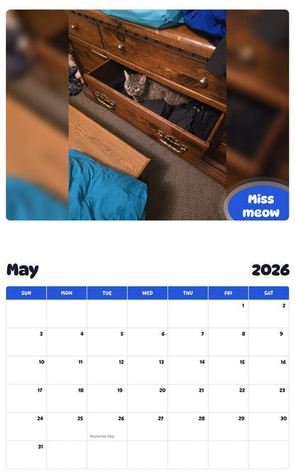2026 - 2027 Miss meow - Pawidols Pet Calendar