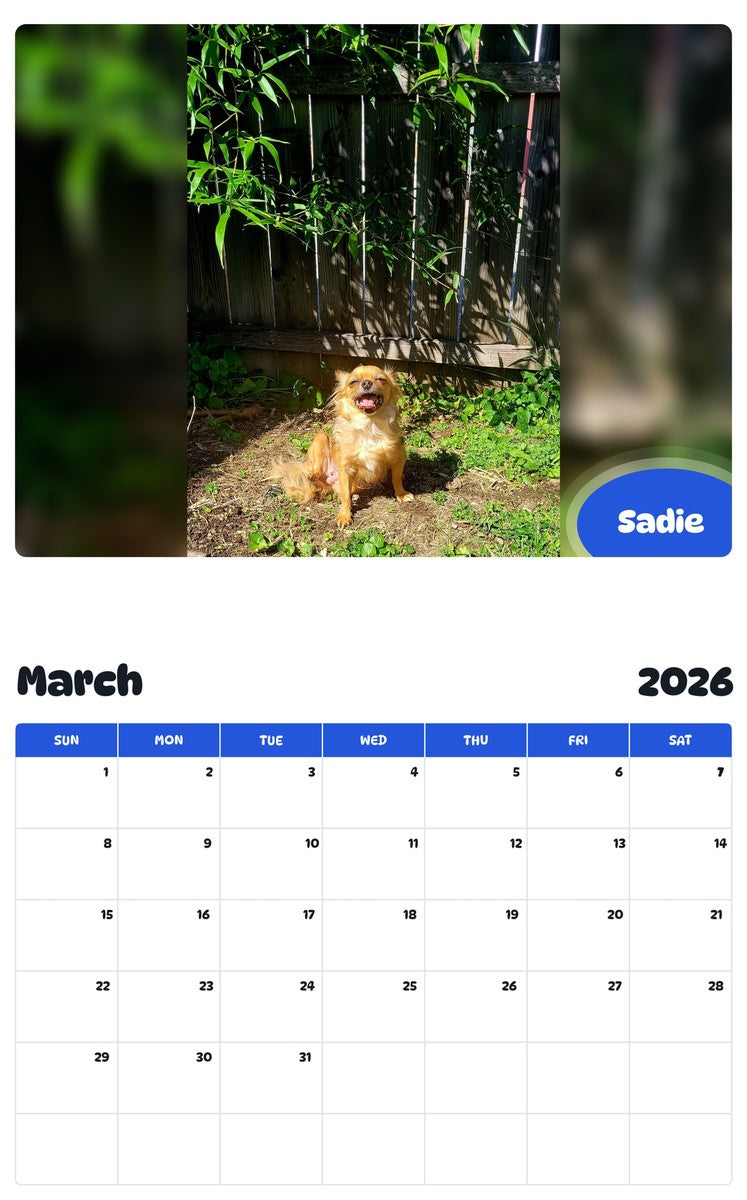 November 2025 - October 2026 Sadie - Pawidols Pet Calendar