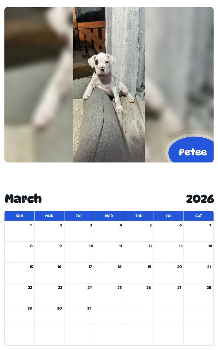 November 2025 - October 2026 Petee - Pawidols Pet Calendar