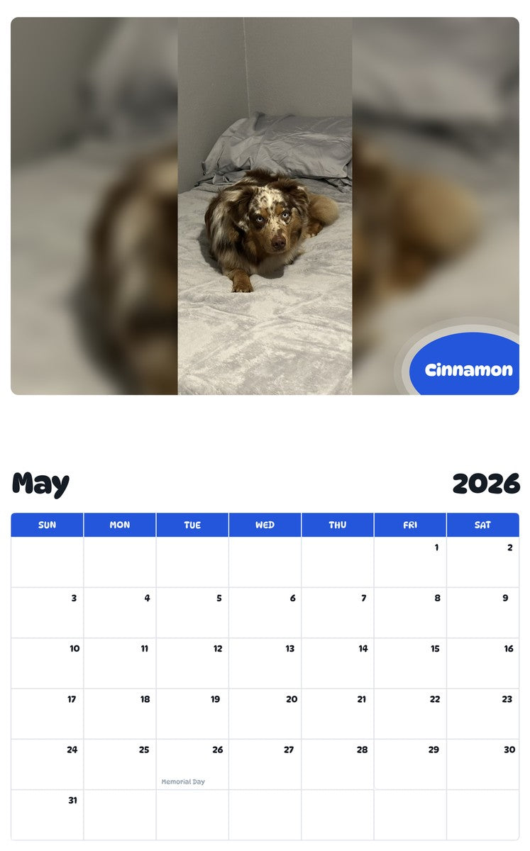 2026 - 2027 Cinnamon - Pawidols Pet Calendar